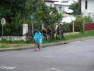 <strong>Kourou 06</strong><br />Exercice dans les rues de Kourou, 19 janvier 2005