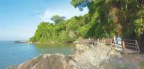 <strong>Le sentier de Montabo</strong><br />Le sentier est ponctué de passerelles en ébène verte. Depuis peu, la mangrove a élu domicile sur les bancs de vase apportés par le fleuve Amazone. Ce parcours est très fréquenté par les Guyanais, pour le footing en fin de journée. (photo Philippe Boré)