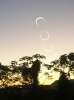 <strong>Eclipse annulaire</strong><br />22 septembre 2006 en Guyane.
Montage de photos prises depuis le Lycée Léon Gontran Damas de Remire-Montjoly,
avec les lycéens. 
Image reçue de Christophe Heyrend, 
Professeur Physique Appliquée Lycée LG DAMAS, Rémire-Montjoly.