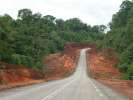 <strong>15. Saut Maripa à St-Georges</strong><br />La portion de route Régina-St-Georges a nécessité d’importants travaux de stabilisation afin de modérer les effets d’érosion des eaux pluviales. Inédit en Guyane, et à généraliser sur les futures pénétrantes, une dizaine de couloirs écologiques aménagés ! Sur ces sections de route, d’environ 400m, le déboisement a été limité à la largeur de la chaussée afin de conserver le flux de la biodiversité (mammifères, insectes, pollinisation...). (photo Philippe Boré)