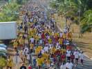 <strong>10e Marche de Kourou</strong><br />Dimanche 23 octobre 2005 : 
une marche de 10 kms à travers la ville, organisée par les Vétérans de Kourou.