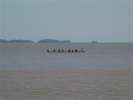 <strong>Pirogues17</strong><br />Course de pirogues organisée par Terre de Jeux sur la plage de Kourou