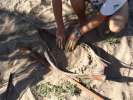 <strong>Pirogues06</strong><br />Course de pirogues organisée par Terre de Jeux sur la plage de Kourou