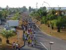 <strong>10e Marche de Kourou</strong><br />Dimanche 23 octobre 2005 : 
une marche de 10 kms à travers la ville, organisée par les Vétérans de Kourou.