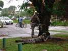 <strong>Kourou 06</strong><br />Exercice dans les rues de Kourou, 19 janvier 2005