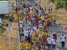 <strong>10e Marche de Kourou</strong><br />Dimanche 23 octobre 2005 : 
une marche de 10 kms à travers la ville, organisée par les Vétérans de Kourou.