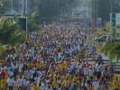 <strong>10e Marche de Kourou</strong><br />Dimanche 23 octobre 2005 : 
une marche de 10 kms à travers la ville, organisée par les Vétérans de Kourou.