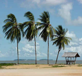  Les Iles du Salut vues de la plage de Kourou